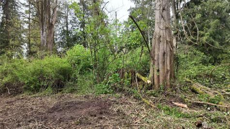 17584 Allen Road Bow WA 98232