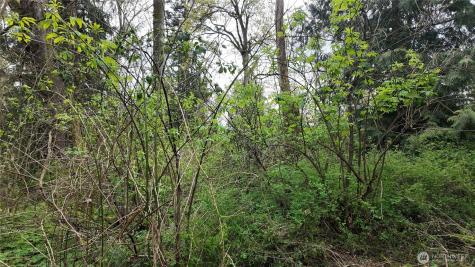 17584 Allen Road Bow WA 98232