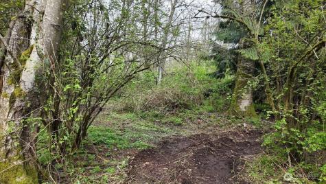 17584 Allen Road Bow WA 98232