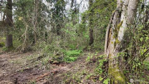 17584 Allen Road Bow WA 98232