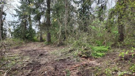 17584 Allen Road Bow WA 98232