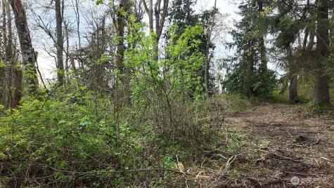 17584 Allen Road Bow WA 98232