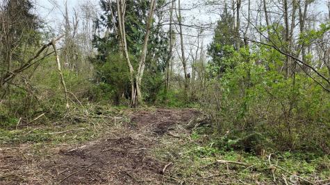 17584 Allen Road Bow WA 98232