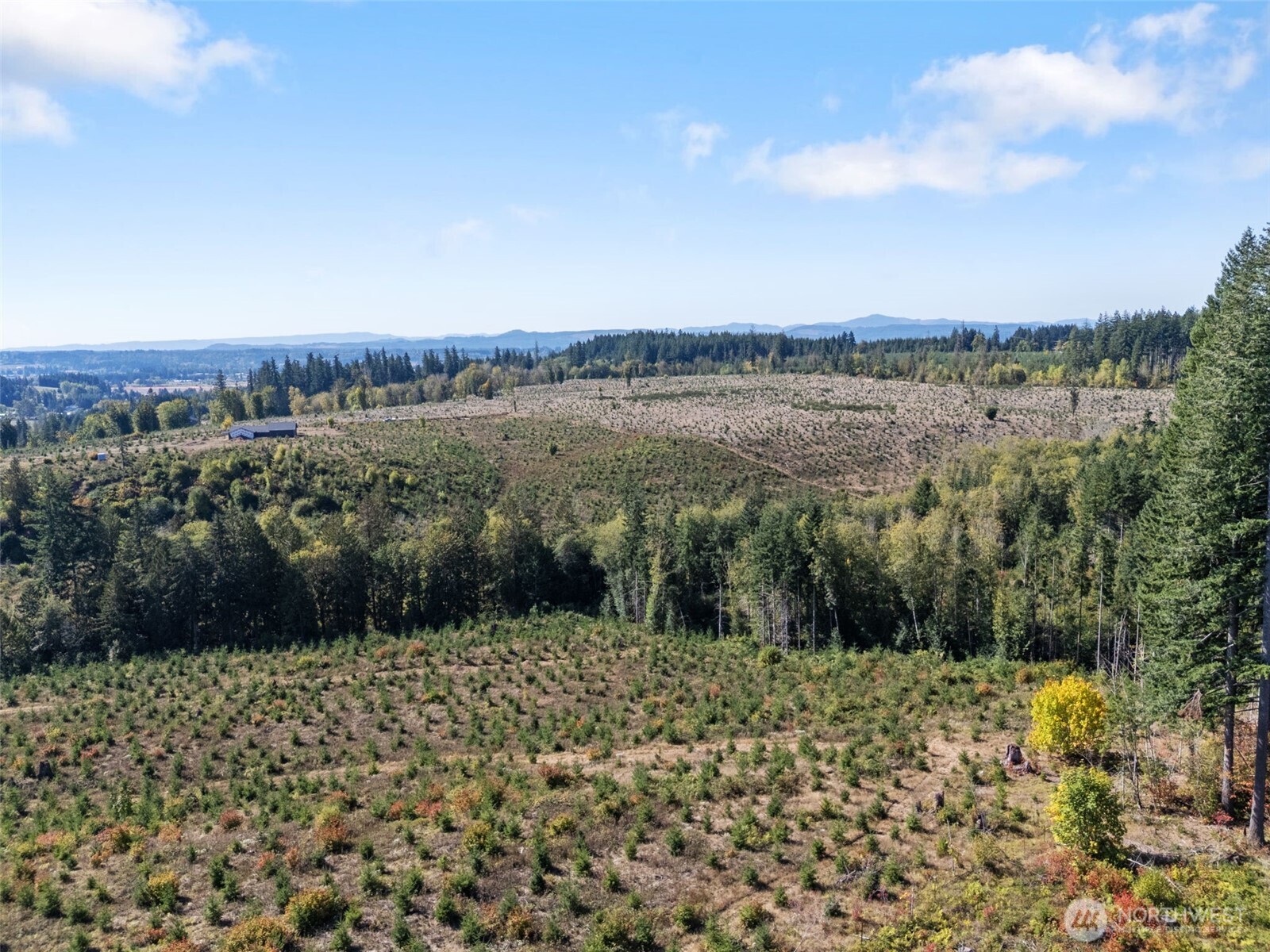 0 Macomber Road W Chehalis WA 98532