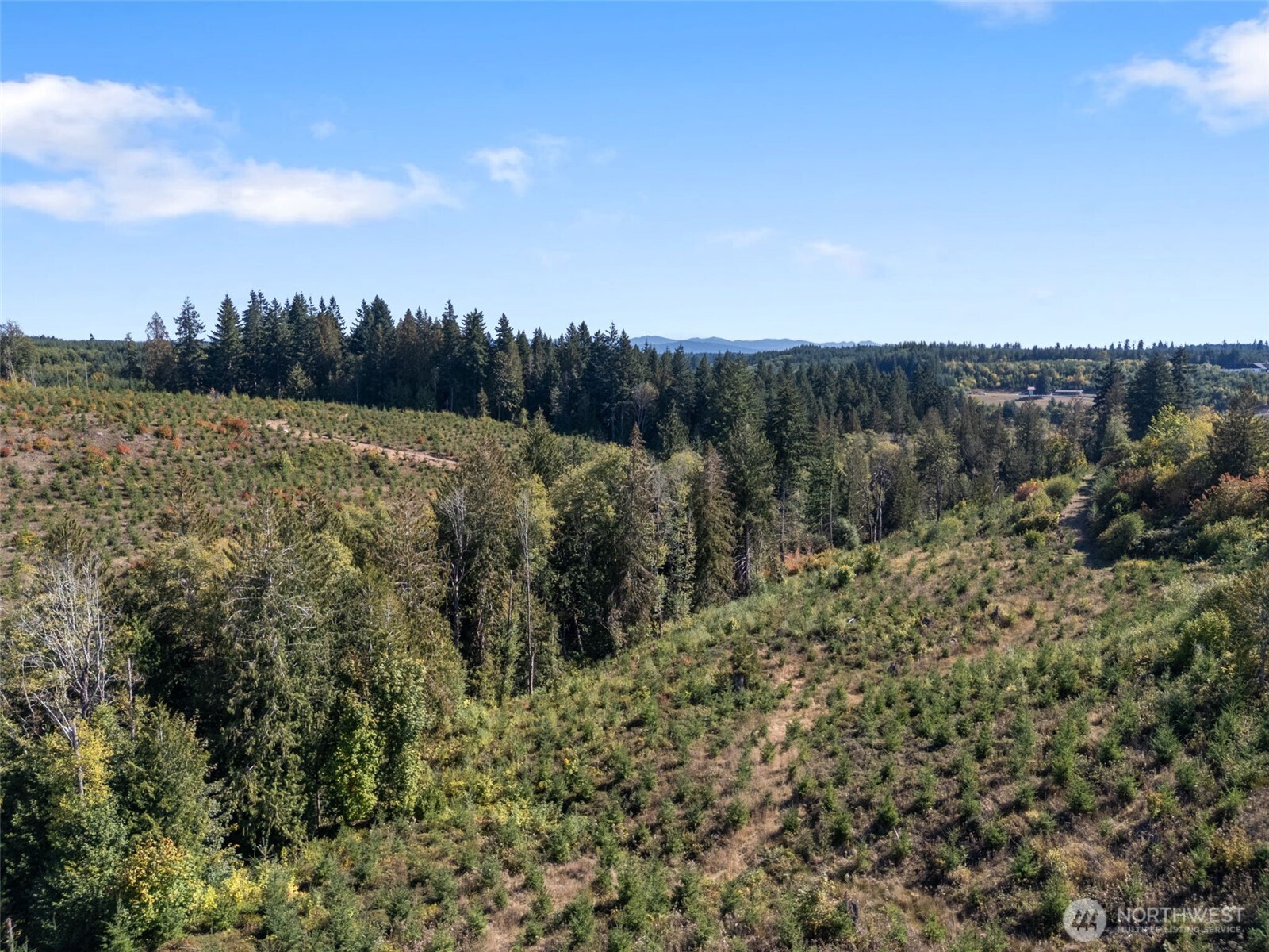 0 Macomber Road W Chehalis WA 98532