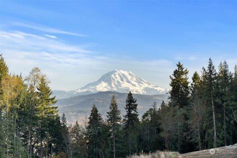 26 179th Puyallup WA 98374