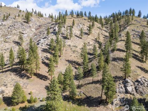 12 Mile Entiat River Road Entiat WA 98822