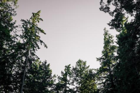 291 Arbel Way Bellingham WA 98229