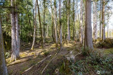 0 H Street Road Blaine WA 98230