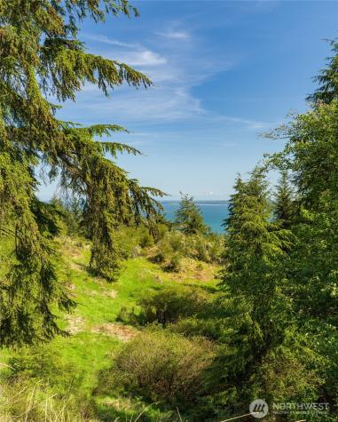 0 Sunrise Bluff Lane Orcas Island WA 98279