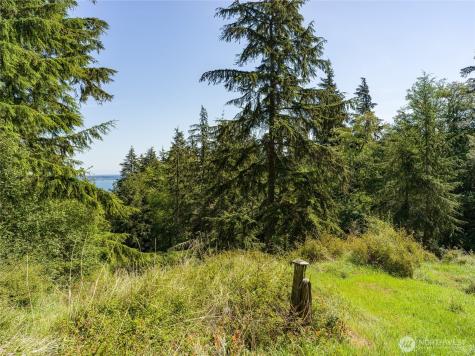 0 Sunrise Bluff Lane Orcas Island WA 98279