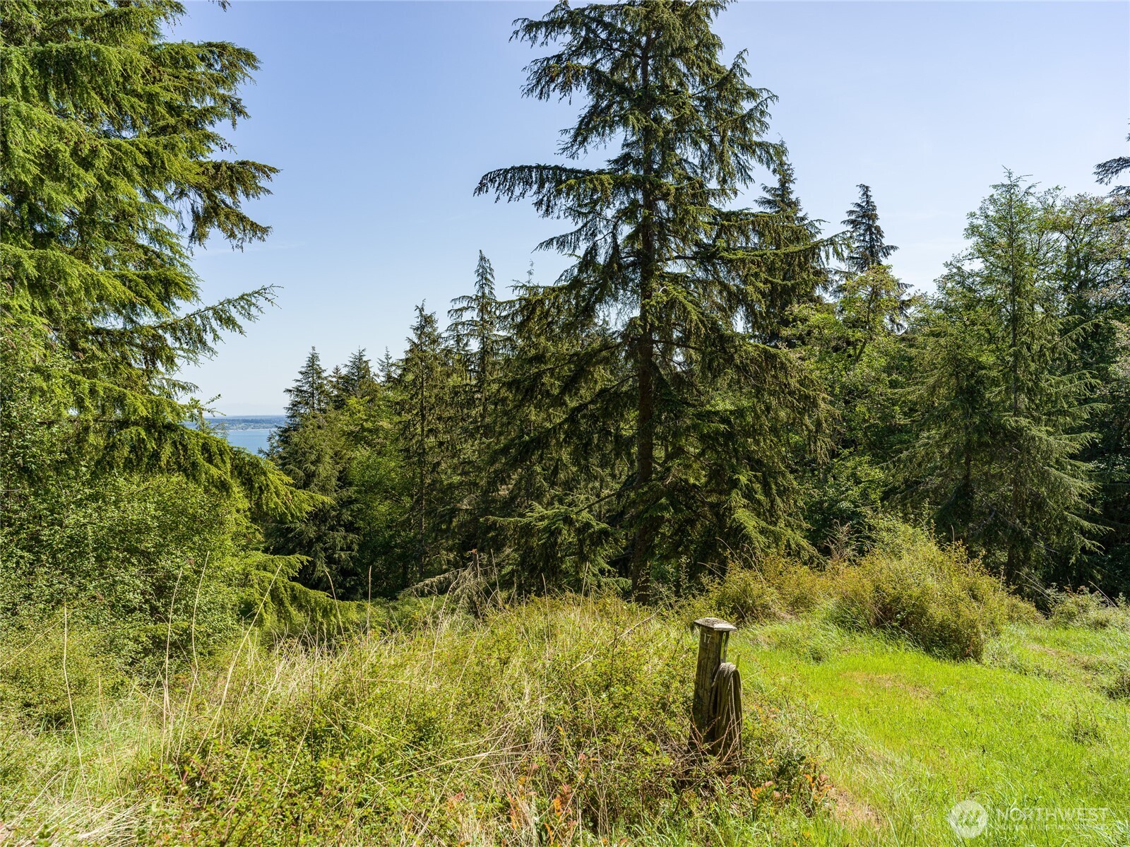0 Sunrise Bluff Lane Orcas Island WA 98279