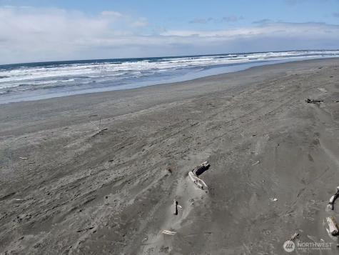 1005 Sand Castle Lane Westport WA 98595