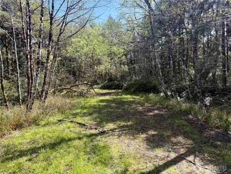 1005 Sand Castle Lane Westport WA 98595