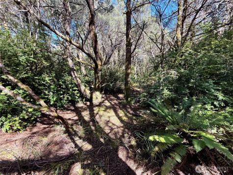 1005 Sand Castle Lane Westport WA 98595