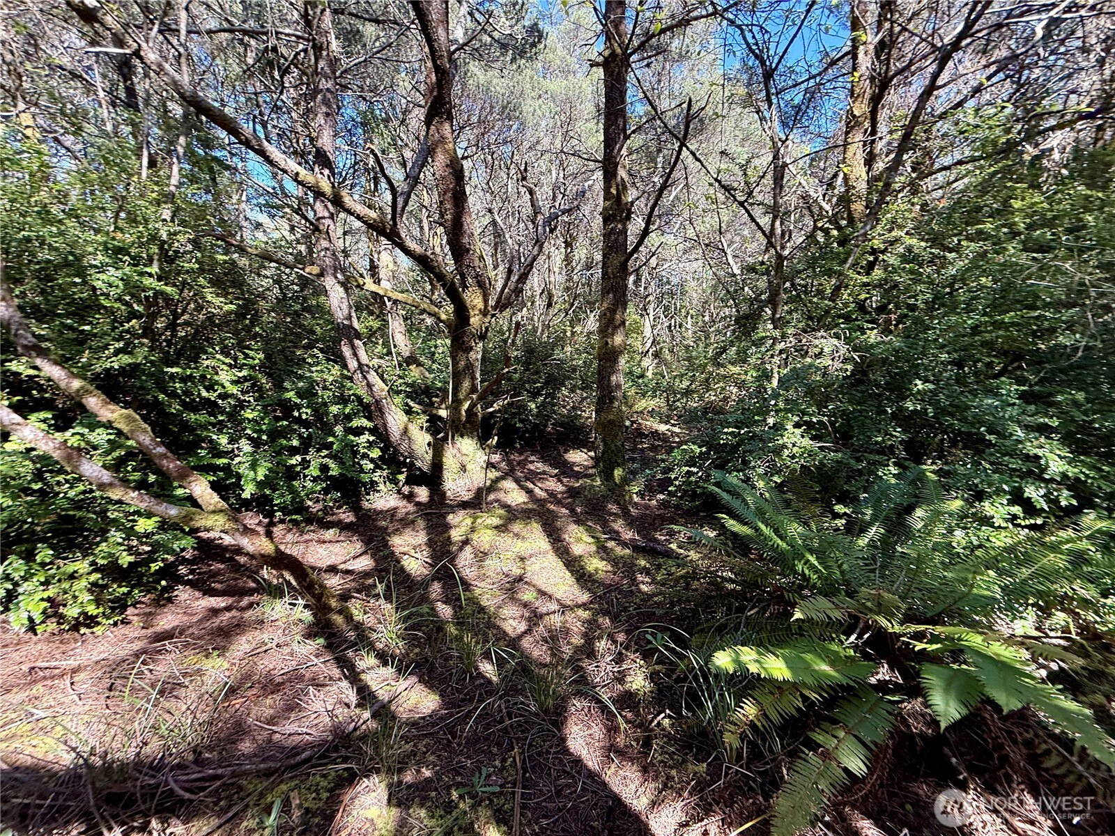 1005 Sand Castle Lane Westport WA 98595