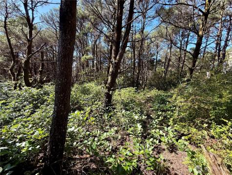 1005 Sand Castle Lane Westport WA 98595