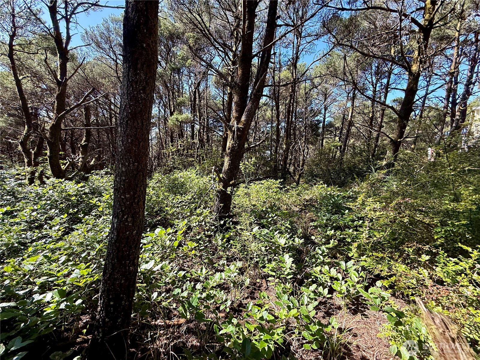 1005 Sand Castle Lane Westport WA 98595