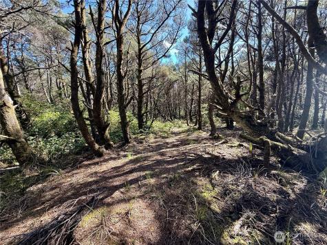 1005 Sand Castle Lane Westport WA 98595