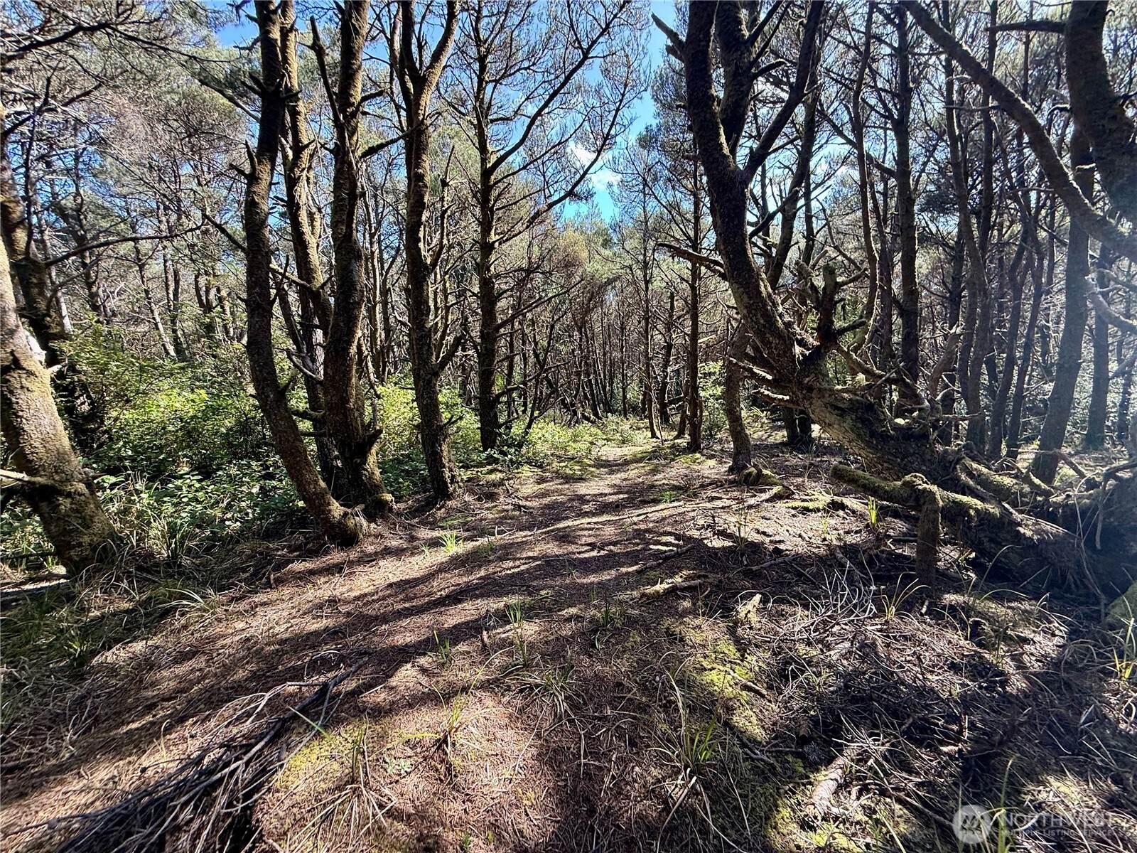 1005 Sand Castle Lane Westport WA 98595