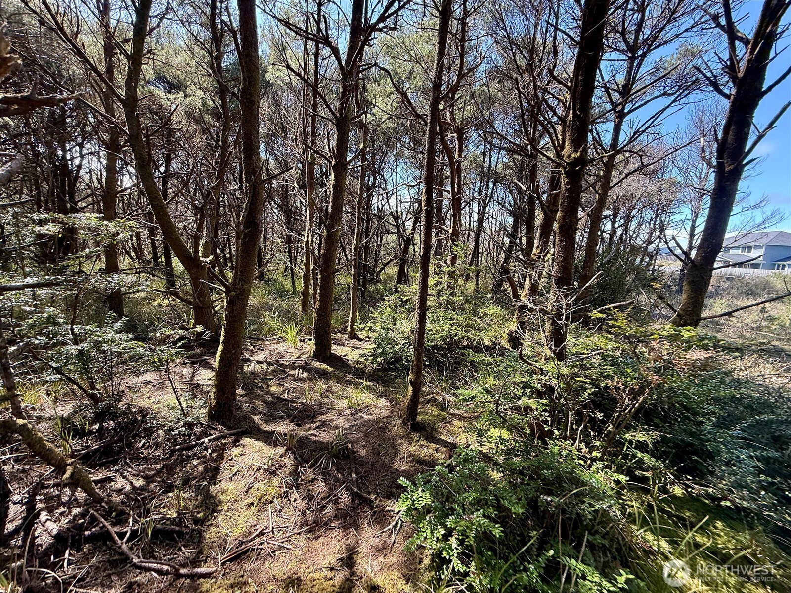 1005 Sand Castle Lane Westport WA 98595