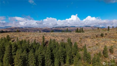 0 Tbd Pharr Out - 10 Way Omak WA 98841