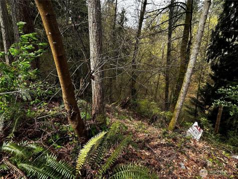 0 Adjacent To Baldwin Road Bothell WA 98012