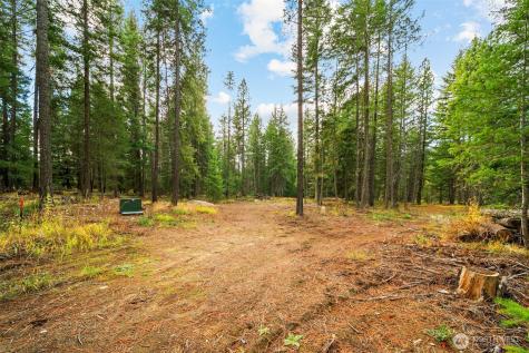 0 S Shugart Flats Road Leavenworth WA 98826