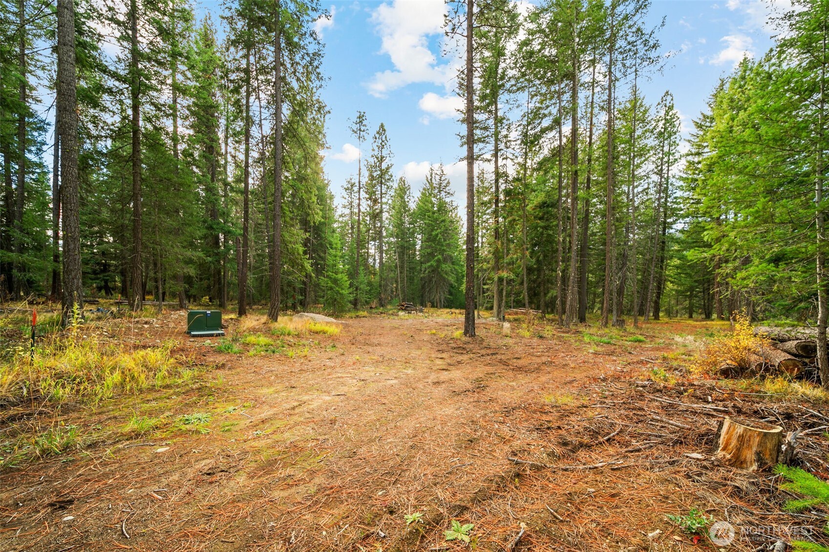 0 S Shugart Flats Road Leavenworth WA 98826