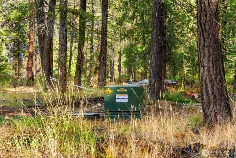 0 S Shugart Flats Road Leavenworth WA 98826