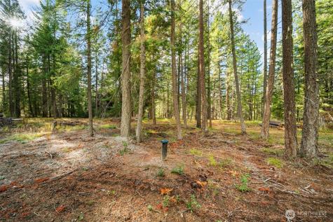 0 S Shugart Flats Road Leavenworth WA 98826