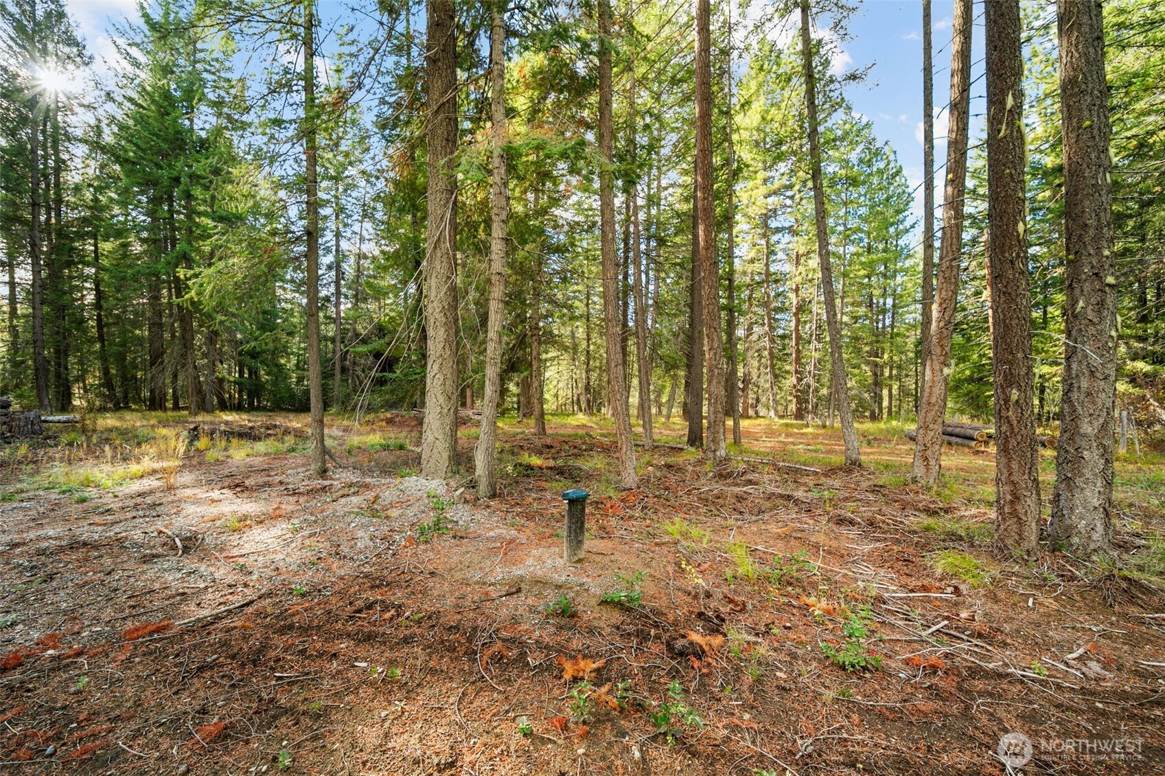 0 S Shugart Flats Road Leavenworth WA 98826