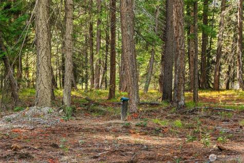 0 S Shugart Flats Road Leavenworth WA 98826