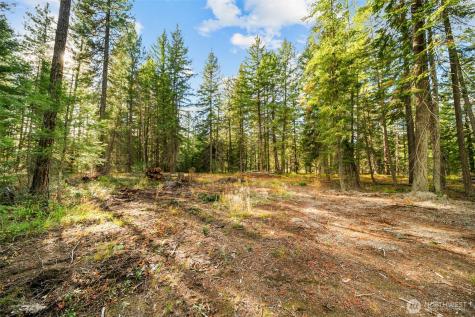 0 S Shugart Flats Road Leavenworth WA 98826