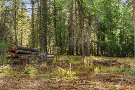 0 S Shugart Flats Road Leavenworth WA 98826