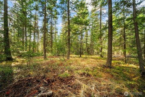 0 S Shugart Flats Road Leavenworth WA 98826