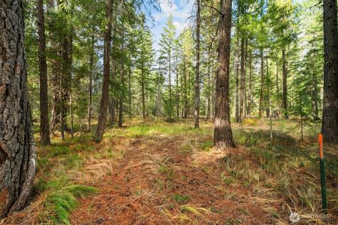 0 S Shugart Flats Road Leavenworth WA 98826