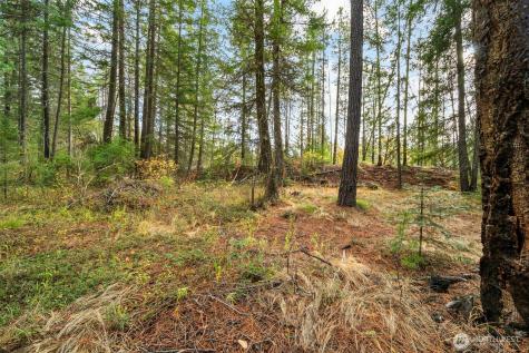 0 S Shugart Flats Road Leavenworth WA 98826