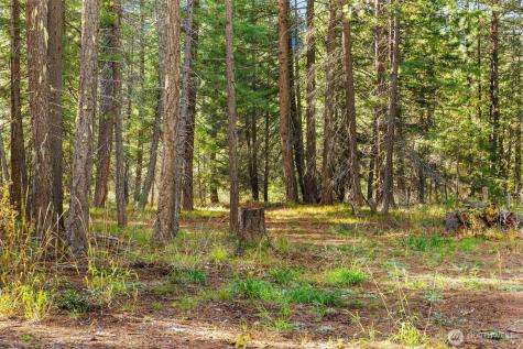 0 S Shugart Flats Road Leavenworth WA 98826