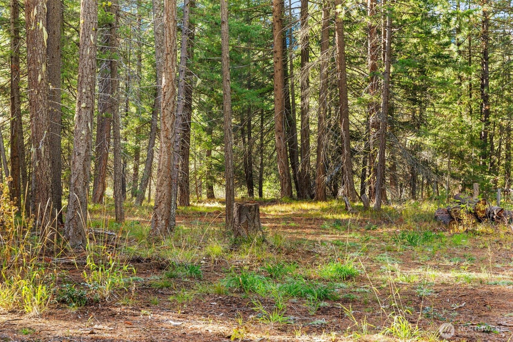 0 S Shugart Flats Road Leavenworth WA 98826