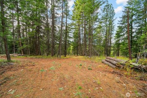 0 S Shugart Flats Road Leavenworth WA 98826