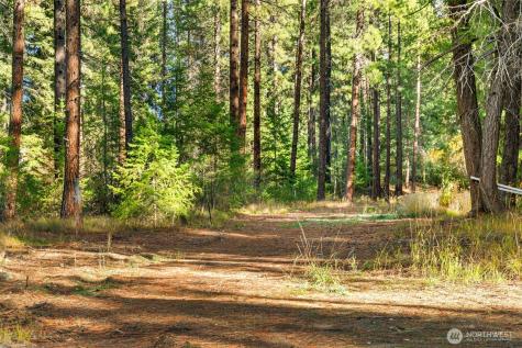 0 S Shugart Flats Road Leavenworth WA 98826