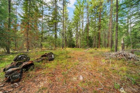 0 S Shugart Flats Road Leavenworth WA 98826