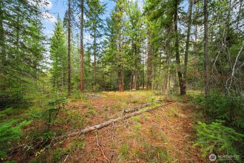0 S Shugart Flats Road Leavenworth WA 98826