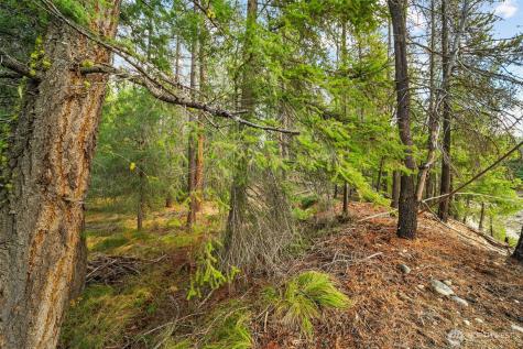 0 S Shugart Flats Road Leavenworth WA 98826