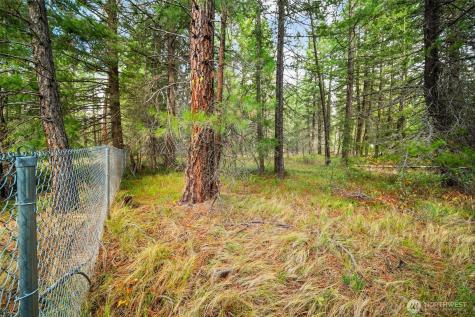 0 S Shugart Flats Road Leavenworth WA 98826