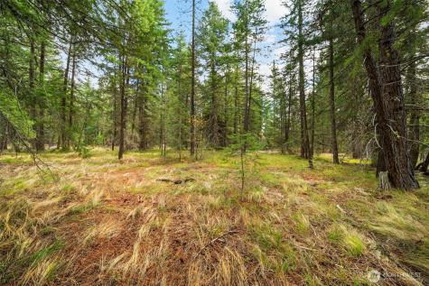 0 S Shugart Flats Road Leavenworth WA 98826