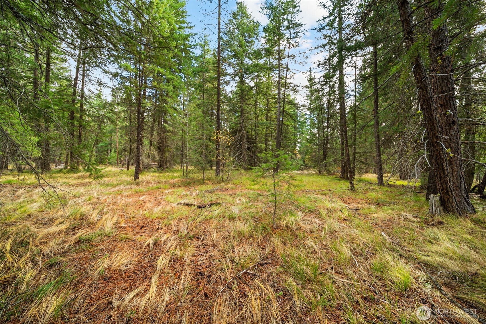 0 S Shugart Flats Road Leavenworth WA 98826