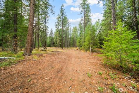 0 S Shugart Flats Road Leavenworth WA 98826
