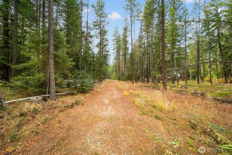 0 S Shugart Flats Road Leavenworth WA 98826